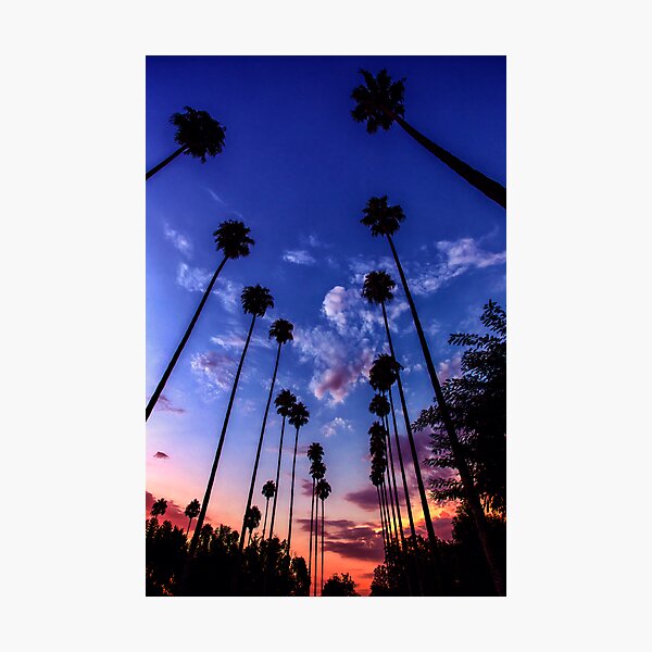 California Sunset Photographic Print