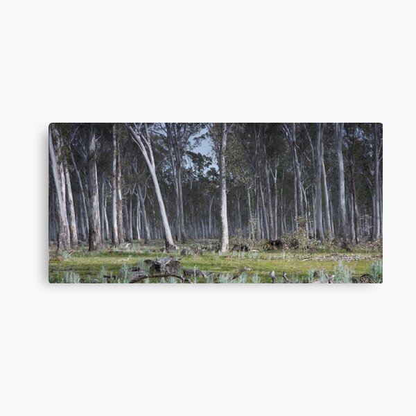 Item preview, New Forest at Woohlpooer   designed and sold by Alex Fricke.