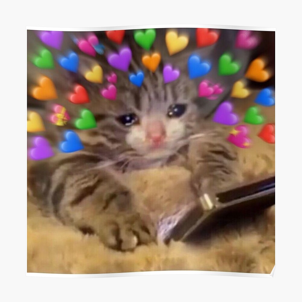 67+ Love Crying Cat Meme Hearts