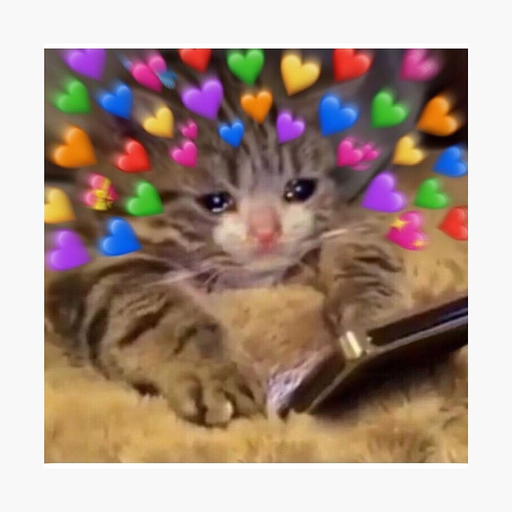 Cat Uwu Poster By Jxnesy Redbubble Cat Uwu Poster By Jxnesy Redbubble