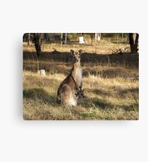 Oh Holy Mother Canvas Print