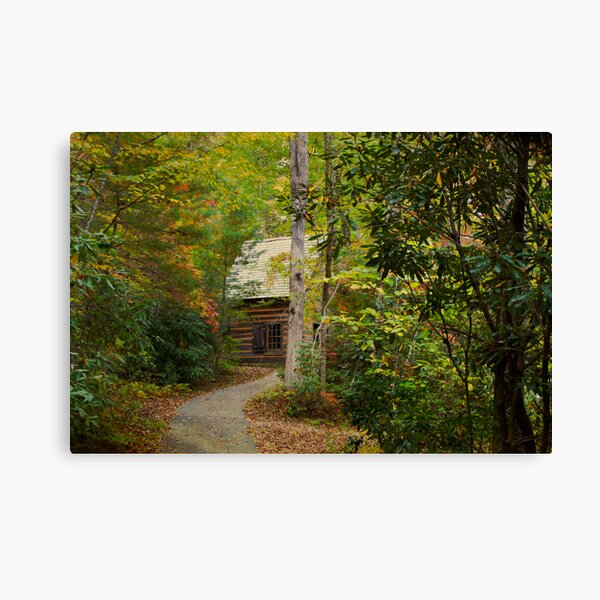 Nestled in the Woods Canvas Print