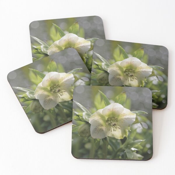 Item preview, Hellebore flower designed and sold by edbowring.