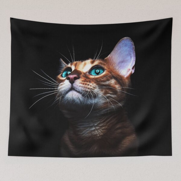 Item preview, Little cat on black background designed and sold by philippe souvy.