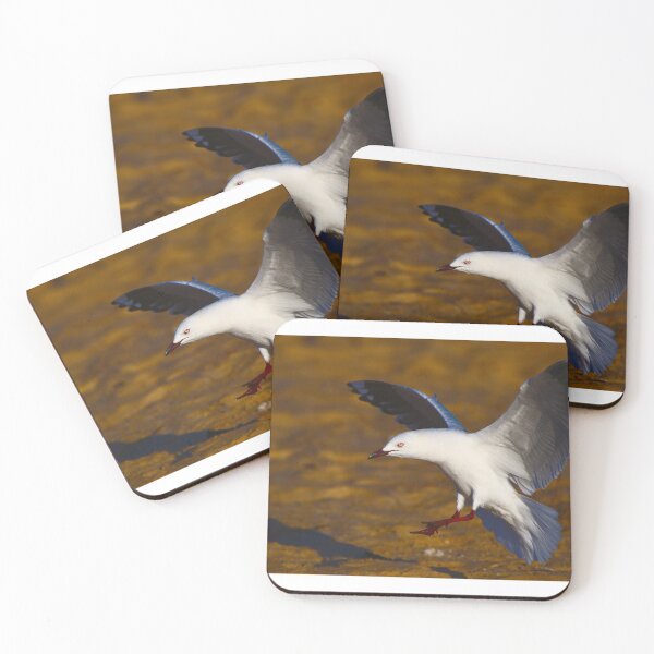 Item preview, Seagulls - A Seagull Bird Landing On The Beach At Dawn - Landscape designed and sold by Jason Gilbert.