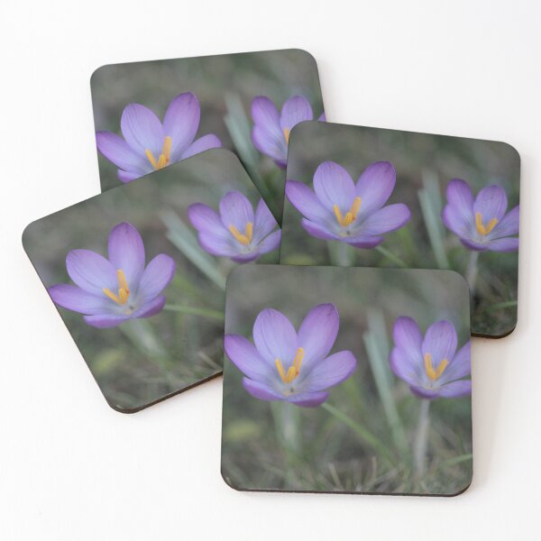 Item preview, Crocus designed and sold by edbowring.