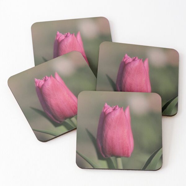Item preview, Pink tulip designed and sold by edbowring.