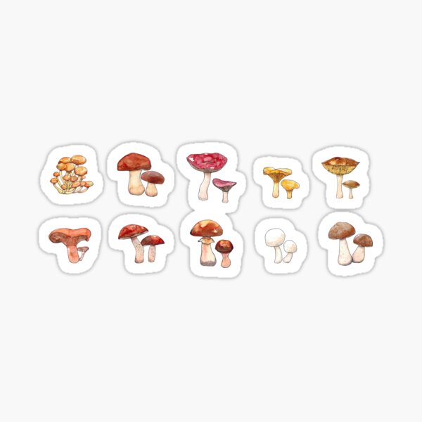 Item preview, Watercolor hand drawn illustration set of Mushrooms with porcini, champignon, chanterelle, saffon milk cap, boletus badius, yellow boletus, orange cap boletus, russula, boletus, honey agaric designed and sold by FuzzyLogicKate.