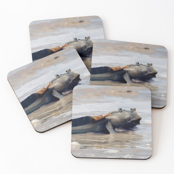 Item preview, the song of the mudskippers by Kevin Smith designed and sold by RockpoolBroome.