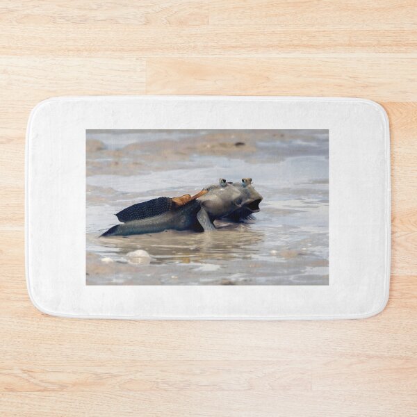 Item preview, the song of the mudskippers by Kevin Smith designed and sold by RockpoolBroome.