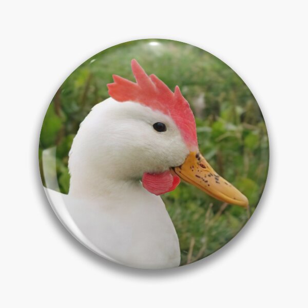 Item preview, Chicken Duck, Duck Chicken, Ducken? designed and sold by Huhni.