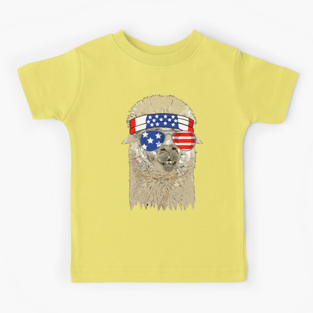 Mimi And Kids Firework America Flag T-Shirt, 4th July Flag Shirt