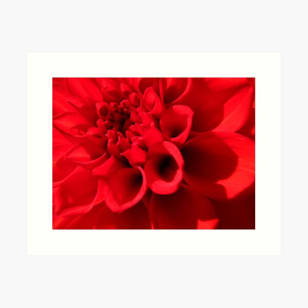 Item preview, From the heart Dahlia designed and sold by MarianBendeth.
