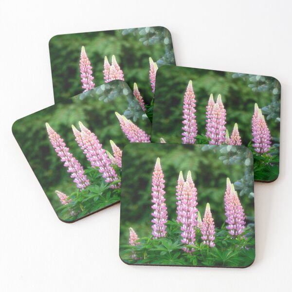 Item preview, Lupines in My Garden designed and sold by Kathy Weaver.