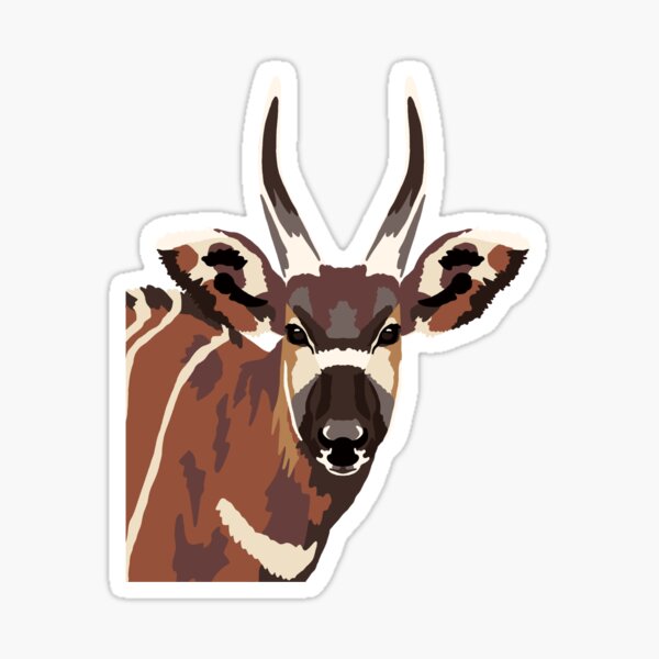 Bongo Portrait Sticker
