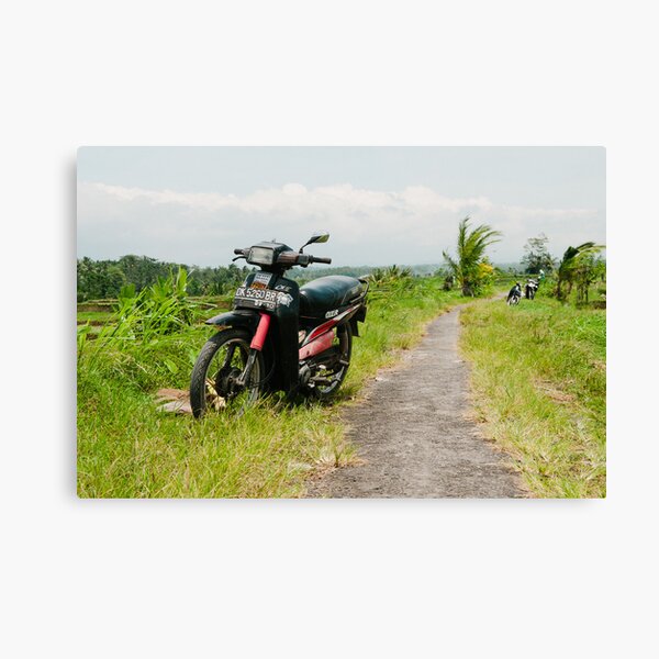 Scooter Canvas Print