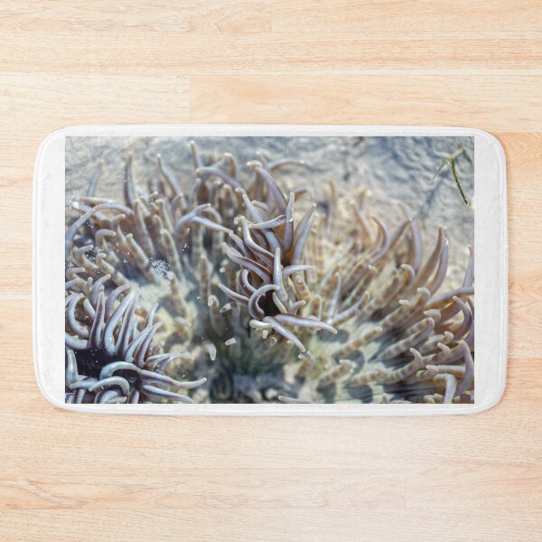 Item preview, Anemone by Kevin Smith designed and sold by RockpoolBroome.