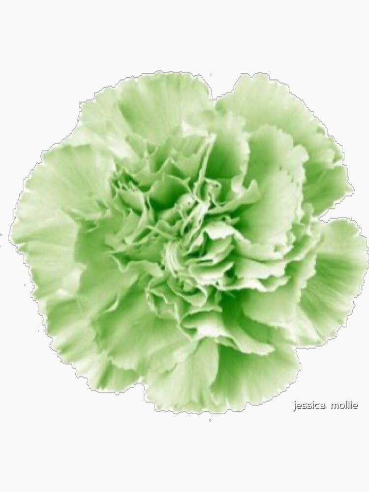 "Oscar Wilde inspired “green carnation” design " Sticker by