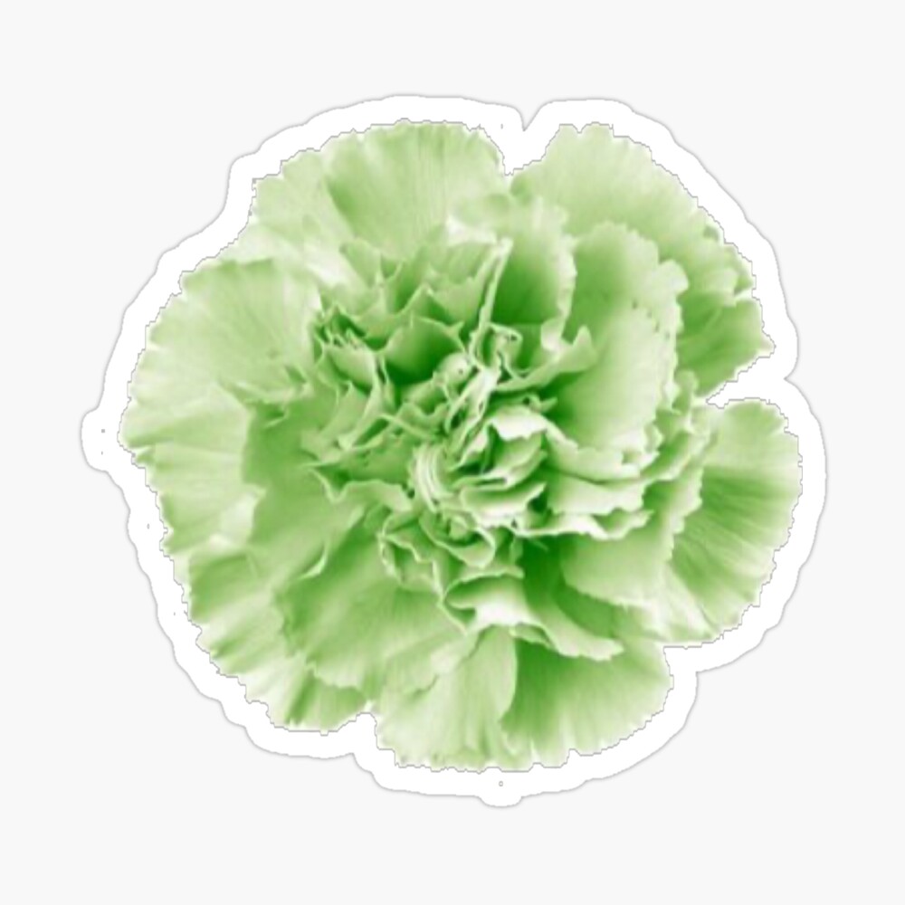 Oscar Wilde Inspired Green Carnation Design Photographic Print For Sale By Lilmissmorrison Redbubble
