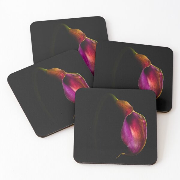 Item preview, Calla designed and sold by alan shapiro.