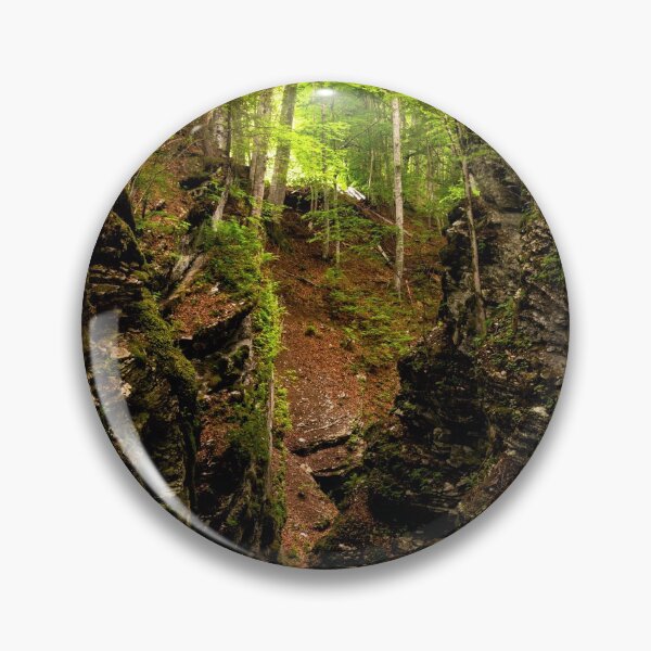 Item preview, Thur River and Forest designed and sold by DiFigianoPhoto.