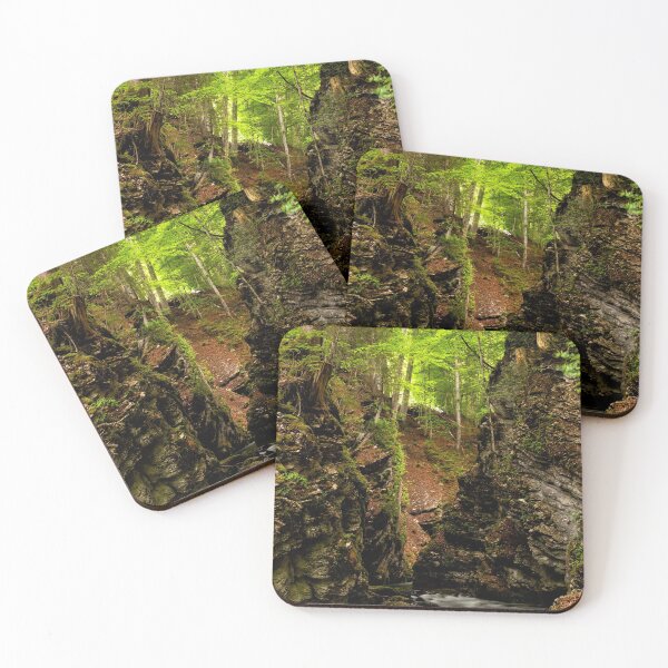 Item preview, Thur River and Forest designed and sold by DiFigianoPhoto.