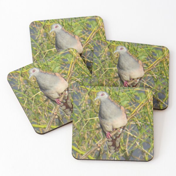 Item preview, Bar-shouldered Dove designed and sold by Genevieve Hanlon Art and Photography.