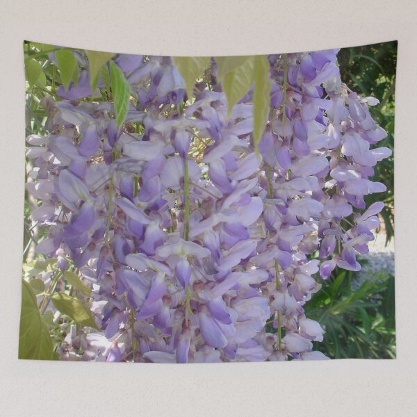 Item preview, Wisteria Racemes Garden Blossom Photography designed and sold by taiche.