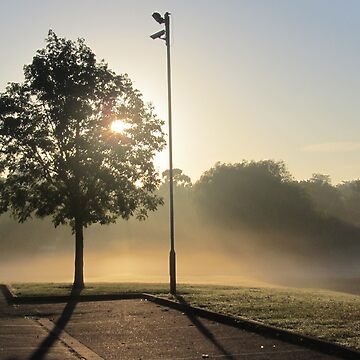 Artwork thumbnail, Frosty Morning in the park by Pete’s Digital Canvas