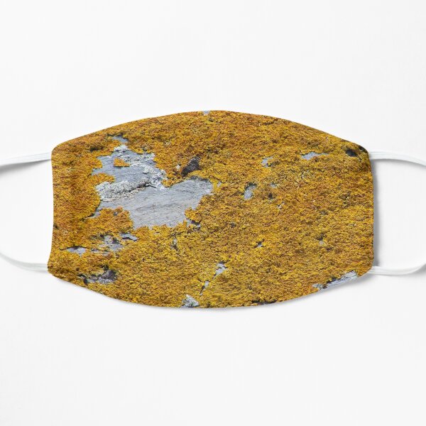 Lichen on stone Flat Mask