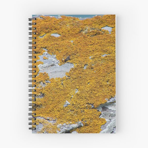 Item preview, Liquen sobre piedra designed and sold by Boscastle.