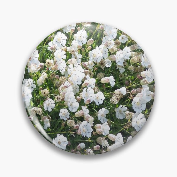 Artikelvorschau, Weiße Blumen im Frühling entworfen und verkauft von Boscastle.
