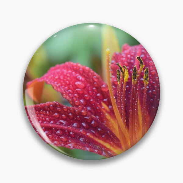 Item preview, flowers designed and sold by Trend Shopping.