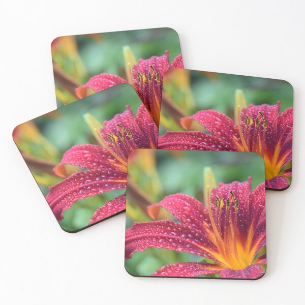 Item preview, flowers designed and sold by Trend Shopping.