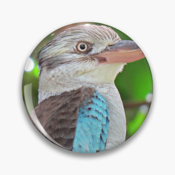 Item preview, Blue Winged Kookaburra 3 designed and sold by Genevieve Hanlon Art and Photography.