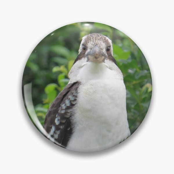 Item preview, Laughing Kookaburra 4 designed and sold by Genevieve Hanlon Art and Photography.