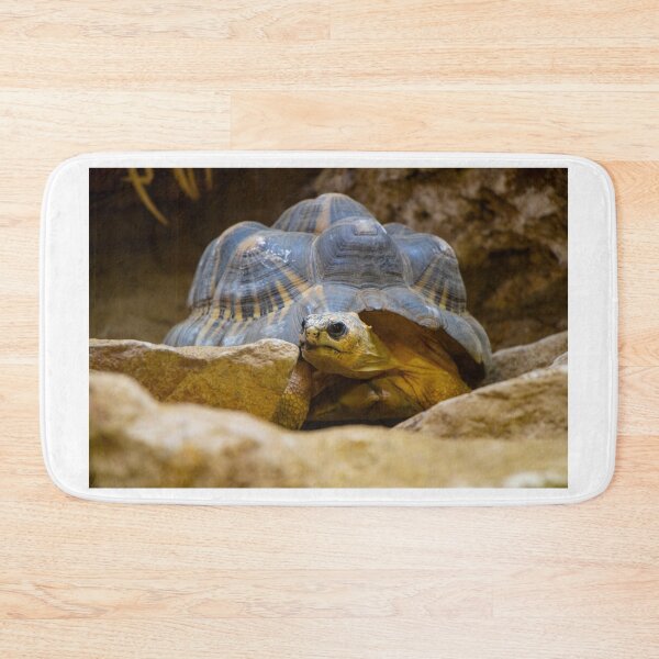 Item preview, Angry Tortoise designed and sold by LennieandStan.