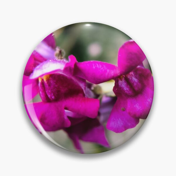 Artikelvorschau, Gartenfotografie #6 entworfen und verkauft von Olympia Ellinas.