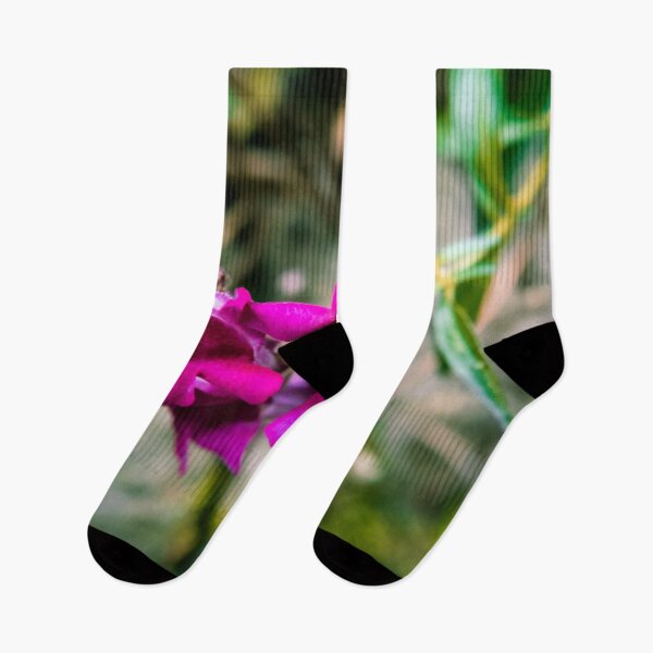 Item preview, Garden Photography #6 designed and sold by Olympia Ellinas.