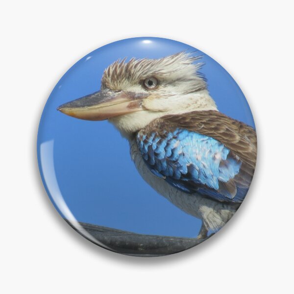Item preview, Kookaburra-Electric Wire-Pants On Fire 3 designed and sold by Genevieve Hanlon Art and Photography.