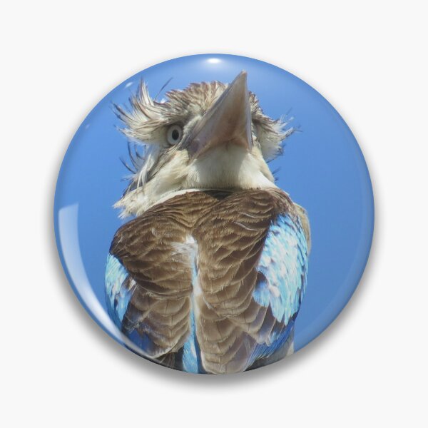 Item preview, Kookaburra-Electric Wire-Pants On Fire designed and sold by Genevieve Hanlon Art and Photography.