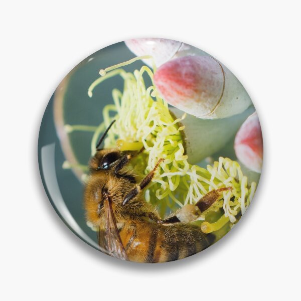 Item preview, Honey Bee on Eucalypt Blossom by Christine Chester designed and sold by cschester4.