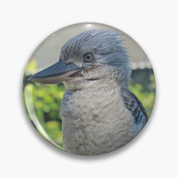 Item preview, Blue Winged Kookaburra designed and sold by Genevieve Hanlon Art and Photography.