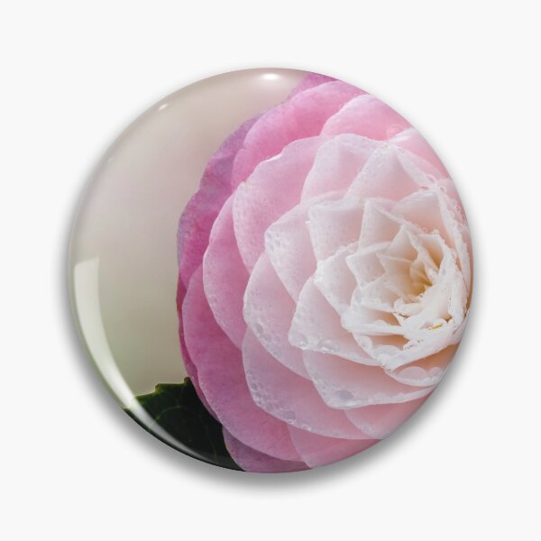 Item preview,  Soft Pink Camellia. designed and sold by John Ray.