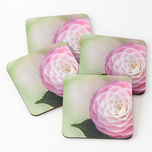 Item preview,  Soft Pink Camellia. designed and sold by John Ray.