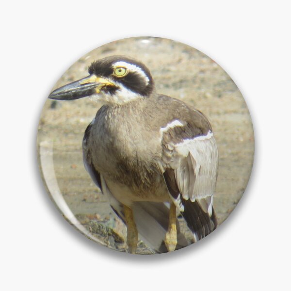 Item preview, Beach Stone Curlew designed and sold by Genevieve Hanlon Art and Photography.