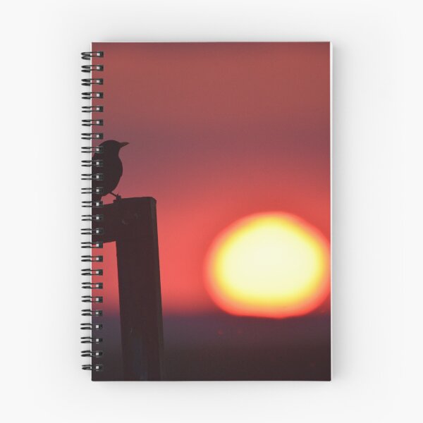 Item preview, Sunset colours designed and sold by Duane Evans.