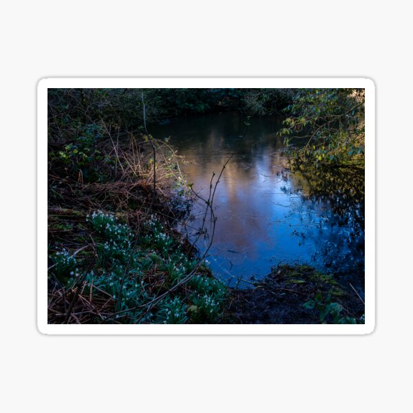 Light on the lake landscape view Sticker