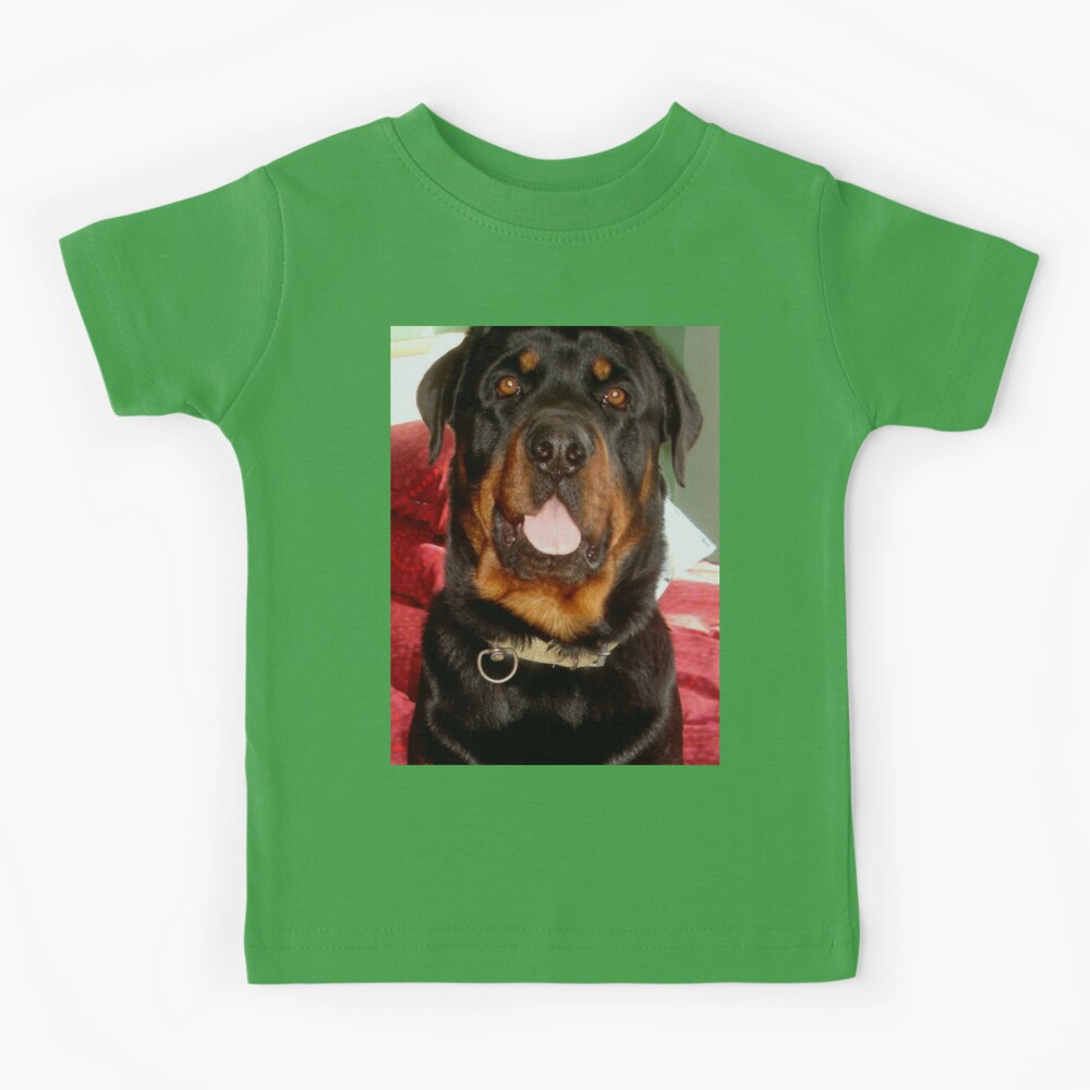 Portrait Of A Young Rottweiler Male Dog