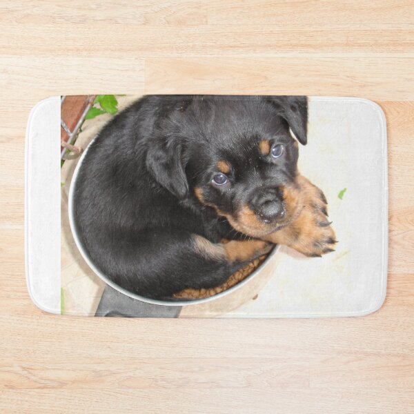 Item preview, Female Rottweiler Puppy Curled In A Food Bowl designed and sold by taiche.